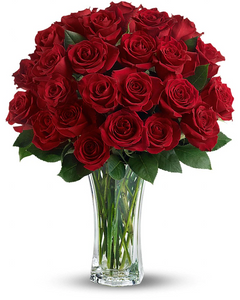 Love And Devotion - Long Stemmed Red Roses